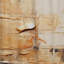 Beige gris géométrique Collage II - rideau abstrait obscurcissant abstrait Collages - 1 panneau-107832164