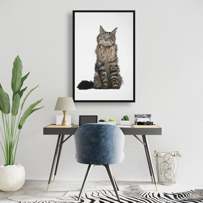 " Maine Coon Cat "