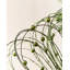 39cm Polystyrene Pick-900931684