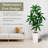 5FT Artificial Dracaena Plant Indoor – Tall Artificial Indoor Tree in Pot, Realistic Fake Plant Indoor