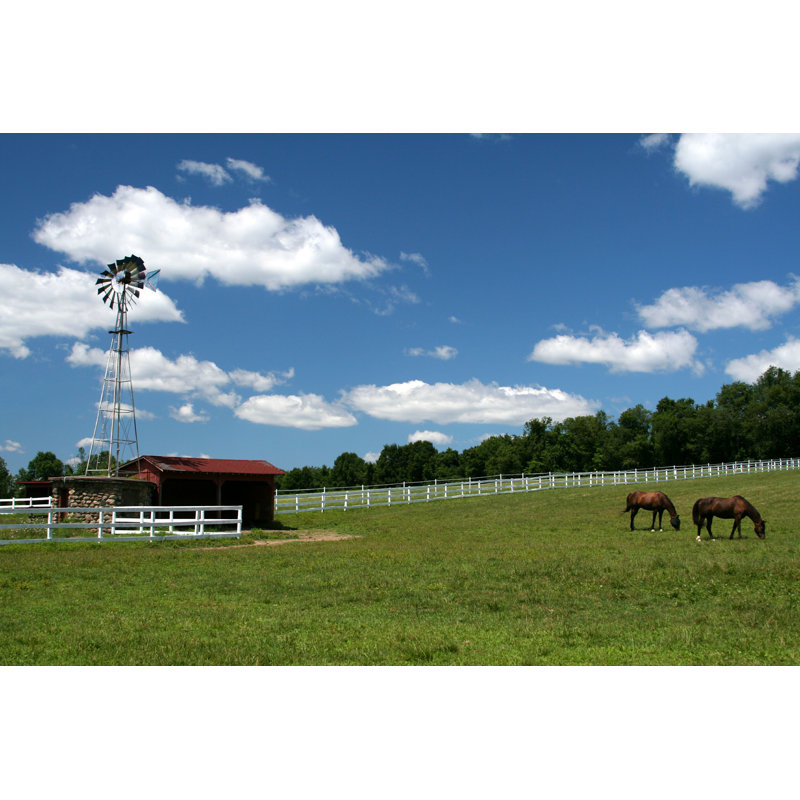 Chevaux et moulin à vent - Photographie sur toile tendue, L 12 po x H 8 po