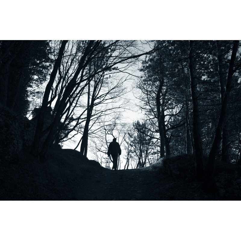 Walking Through the Woods by Casarsa, 20" H x 30" W