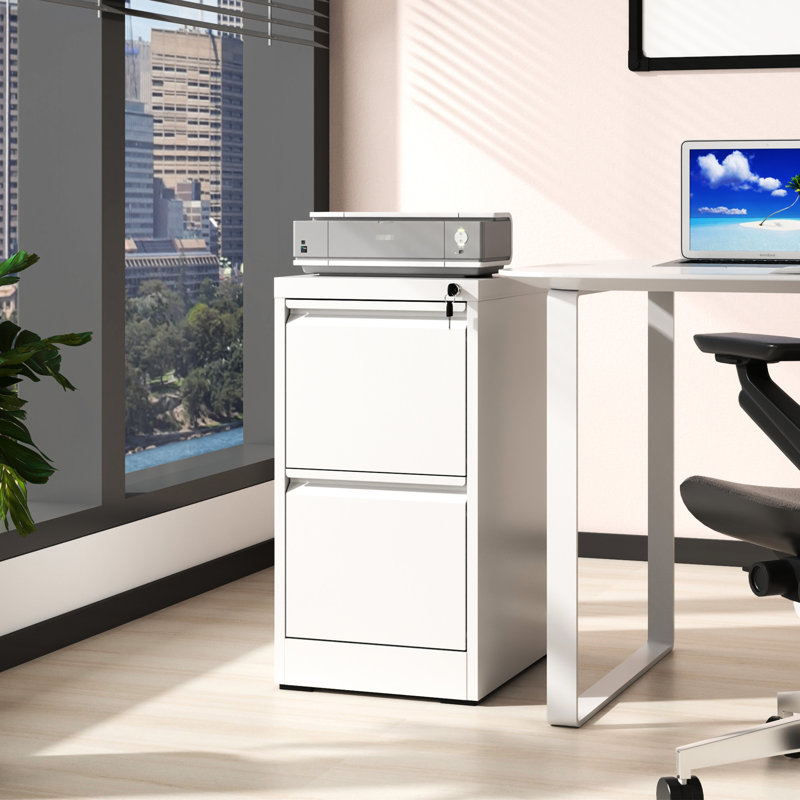 2 Drawer Metal Vertical File Cabinet With Lock, For Office/Home Use, Tilt, Spacious Organization Drawers, Office/Home, Build,