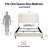 Upholstered Wingback Bed / Tall 54" Headboard Upholstered Queen Bed / Without Wooden Slats-466876311