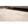 Henricks HAND TUFTED SHAG POLYESTER ECO-FRIENDLY AREA RUGS - Ivory Color | Solid Design