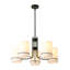 5 - Light Chandelier