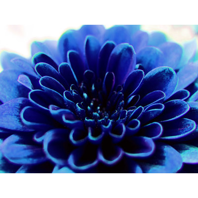 Grand bleu - photographie sur toile tendue