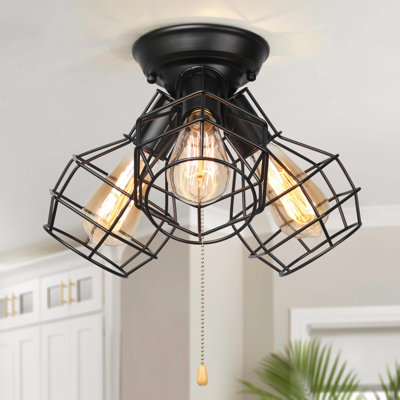Hadsell Flush Mount and Spotlight