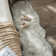 Kove Faux Sheepskin Indoor Rug