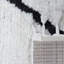 Baner Area Rug-315880534