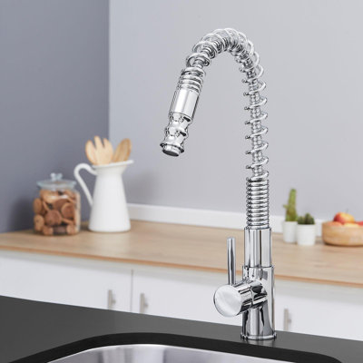 Belfry Kitchen Vaidya Pull Out Kitchen Faucet