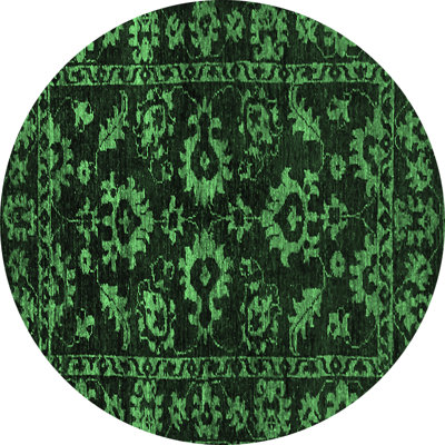 Oriental Indoor Rug
