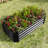 Black Rectangle Metal Raised Garden Bed For Flowers And Vegetables, 421Ft, Rust - Material, Quick Assembly 421Ft Herbs Black, Build, Proof-274424744-274424747