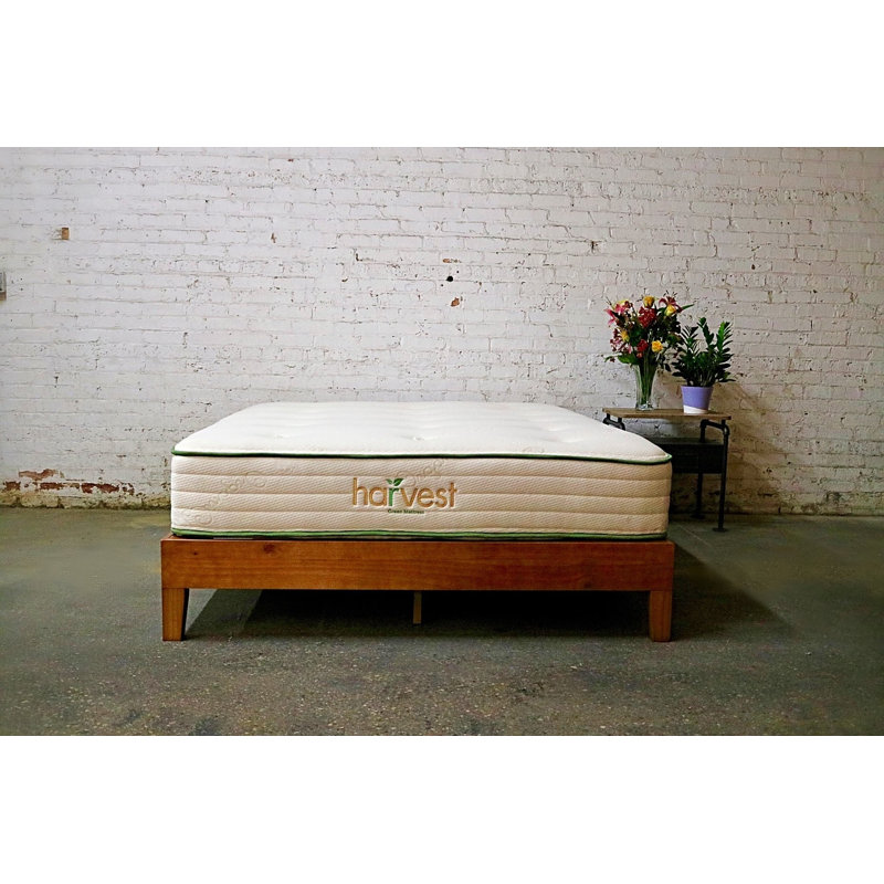 Harvest Green Queen Plush Mattress, Queen