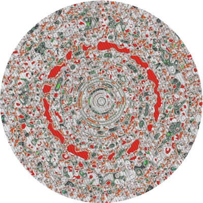 Indoor Rug