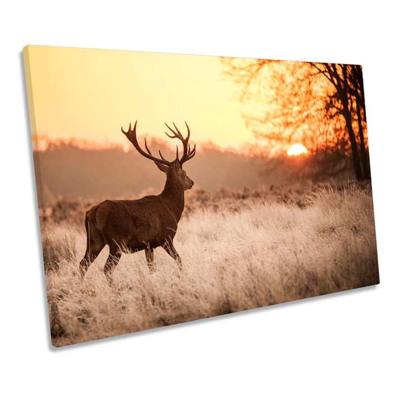 Sunset Deer Stag - Wrapped Canvas Print, 40.6cm H x 61cm W x 2cm D