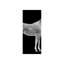 Twilight Cheval II Print by Austin Beiv-26706457