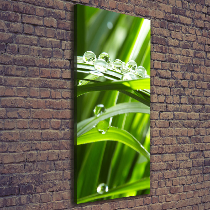 Blades Of Grass - Wrapped Canvas Print