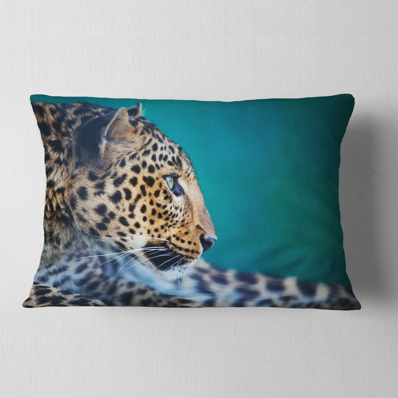Coussin africain, Rectangulaire, 12 po x 20 po