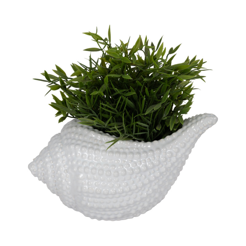 Sagebrook Home 10" Ceramic Seashell Planter - Coastal White Decor Accent