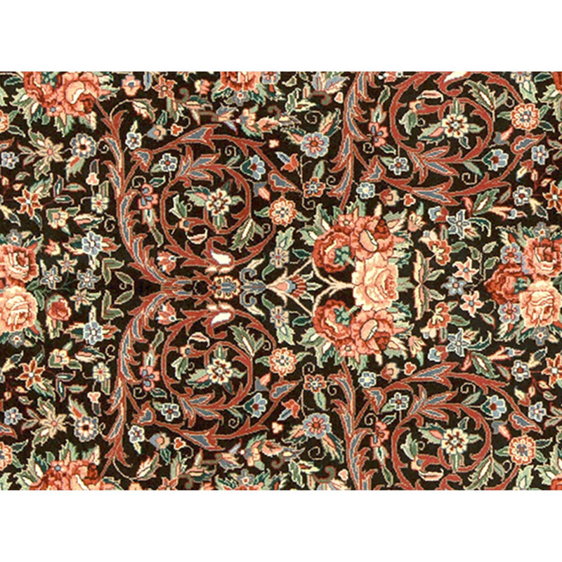 Hand Knotted Wool Oriental Area Rug in Black