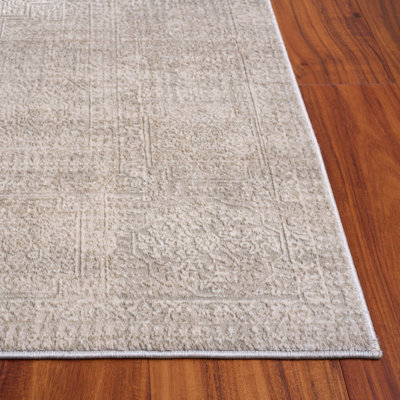 Reflection Performance Oriental Indoor Rug