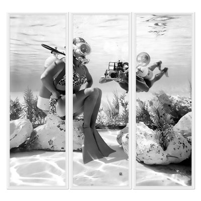 Scuba Diver Tryptic Framed