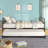 Metal Daybed Platform Bed Frame With Trundle Built-In Casters (Daybed)