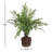 Queensland 18'' Faux Maidenhair