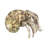 Hermit Crab Paperweight