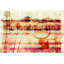 Parvez Taj - Wrapped Canvas Print-15807247