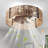 Chatrin 20" Handwoven Boho Rattan Caged Reversible Ceiling Fan With Light Kit and Remote Control