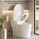 Advanced Smart Toilet with Multiple Functions for Hygienic Comfort
