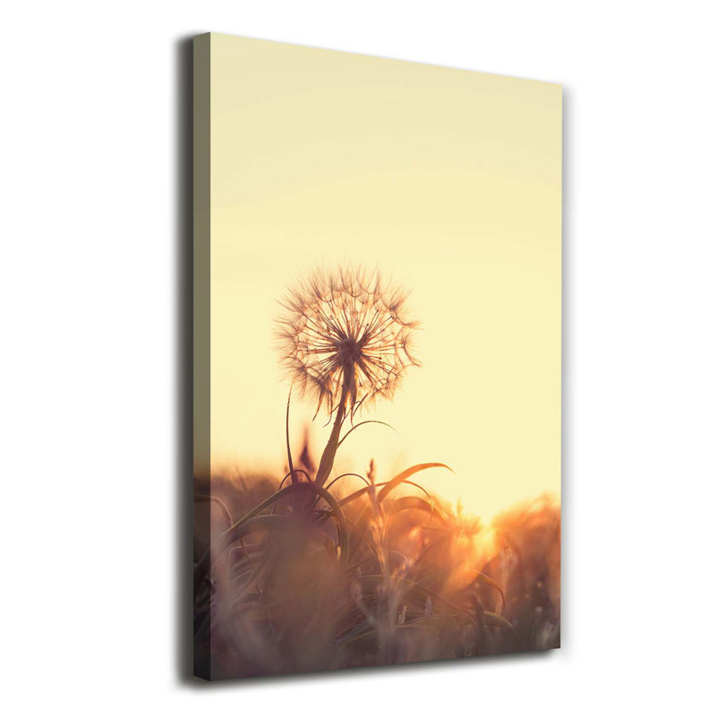 Dandelion - Wrapped Canvas Print