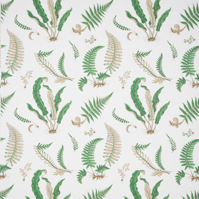 Ferns Print 100% Cotton Fabric