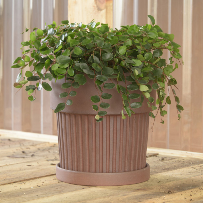 Ensemble de pots à fleurs 2 pièces