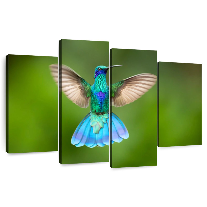 Brampt Flying Violetear Hummingbird, 54" H x 84" W