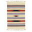 Hand Knotted Cotton Area Rug in Multi