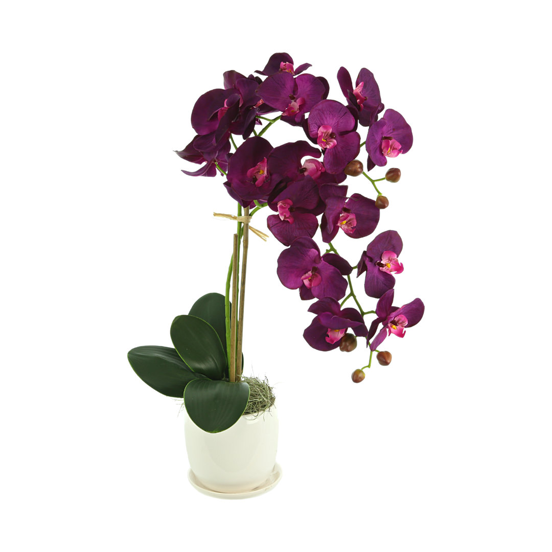Polysilk Orchid Arrangement in Pot Primrue