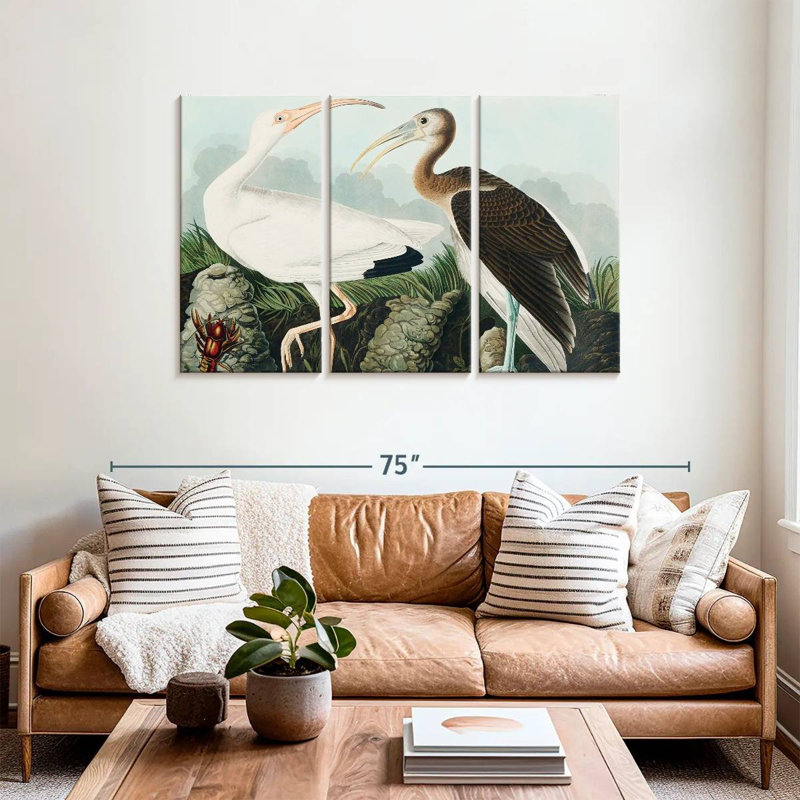 Brampt White Ibis, 36" H x 57" W