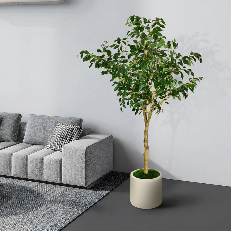 Artificial Ficus Tree in White Decor Pot, 78.75"H x 41.25"W x 39.5"D