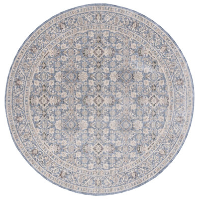 Damarius Performance Oriental Rug