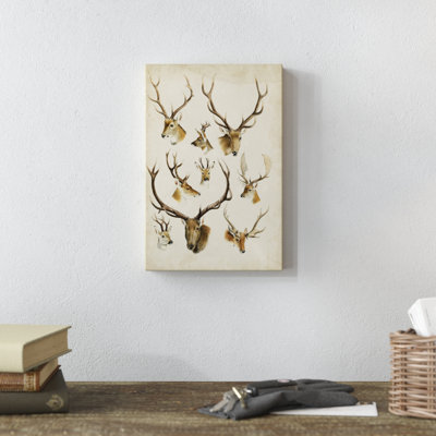 Western Animal Species II - Painting on Canvas