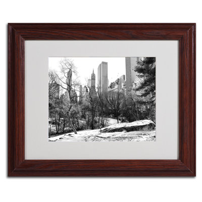 "Central Park" by CATeyes Framed Photographic Print