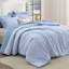 Ensemble de couette réversible 3 pièces Bedsure Queen size à carreaux vichy en polyester avec rembourrage en microfibre, bleu, literie toutes saisons-134406159-138099037