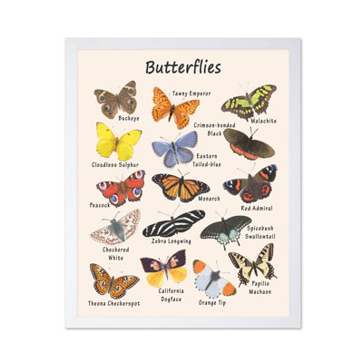 Butterflies No2