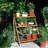 Asukulu Weather Resistant Plant Stand-288442089-284727653