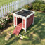 Small Wooden Dog House