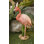 Animals Weather Resistant Water Resistant UV Resistant Polyresin Garden Statue