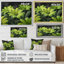 Photo de marguerites monochromes vertes et noires - salon de marguerites murales-526430189-526430198